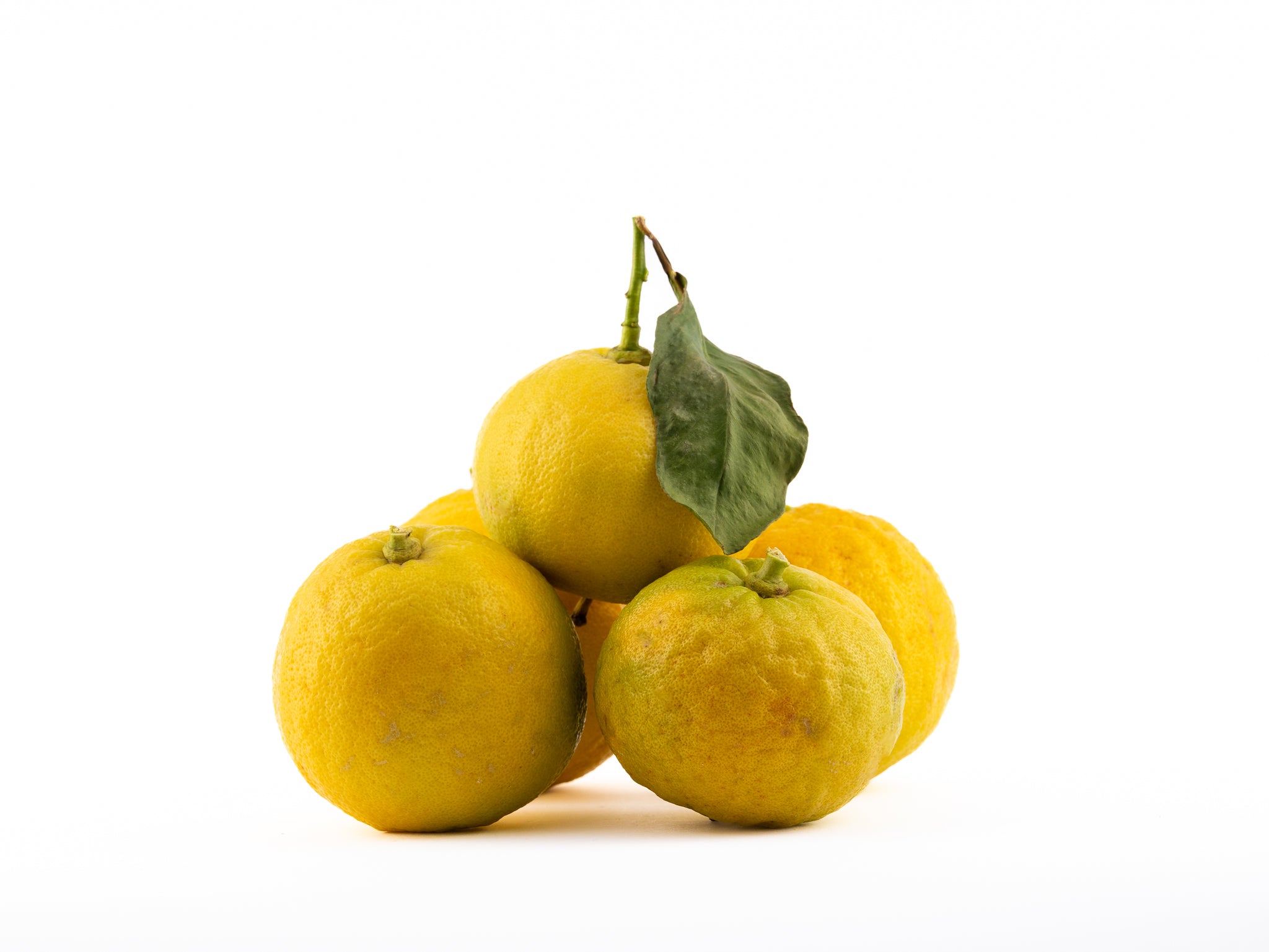 Bergamotto di Calabria