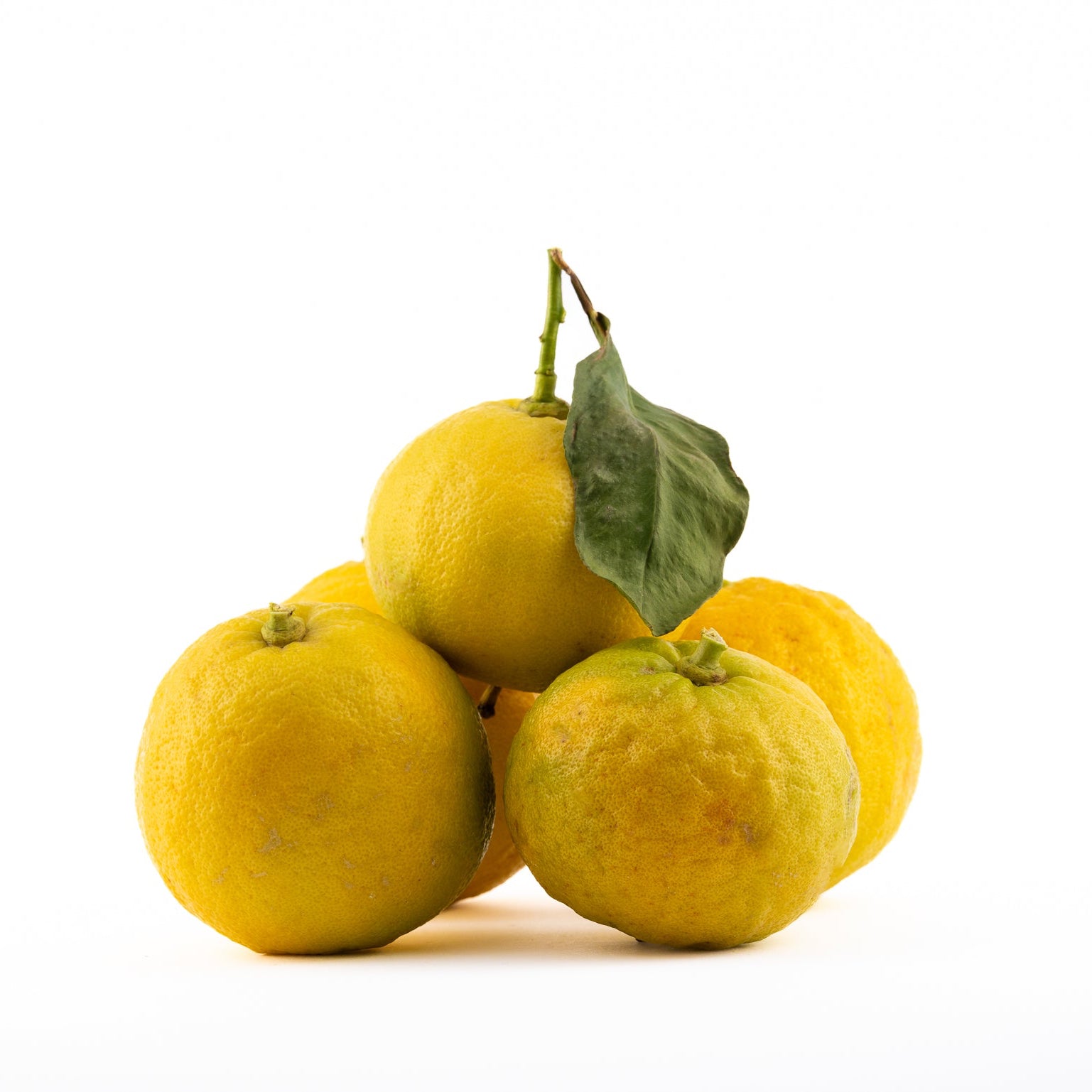 Bergamotto di Calabria