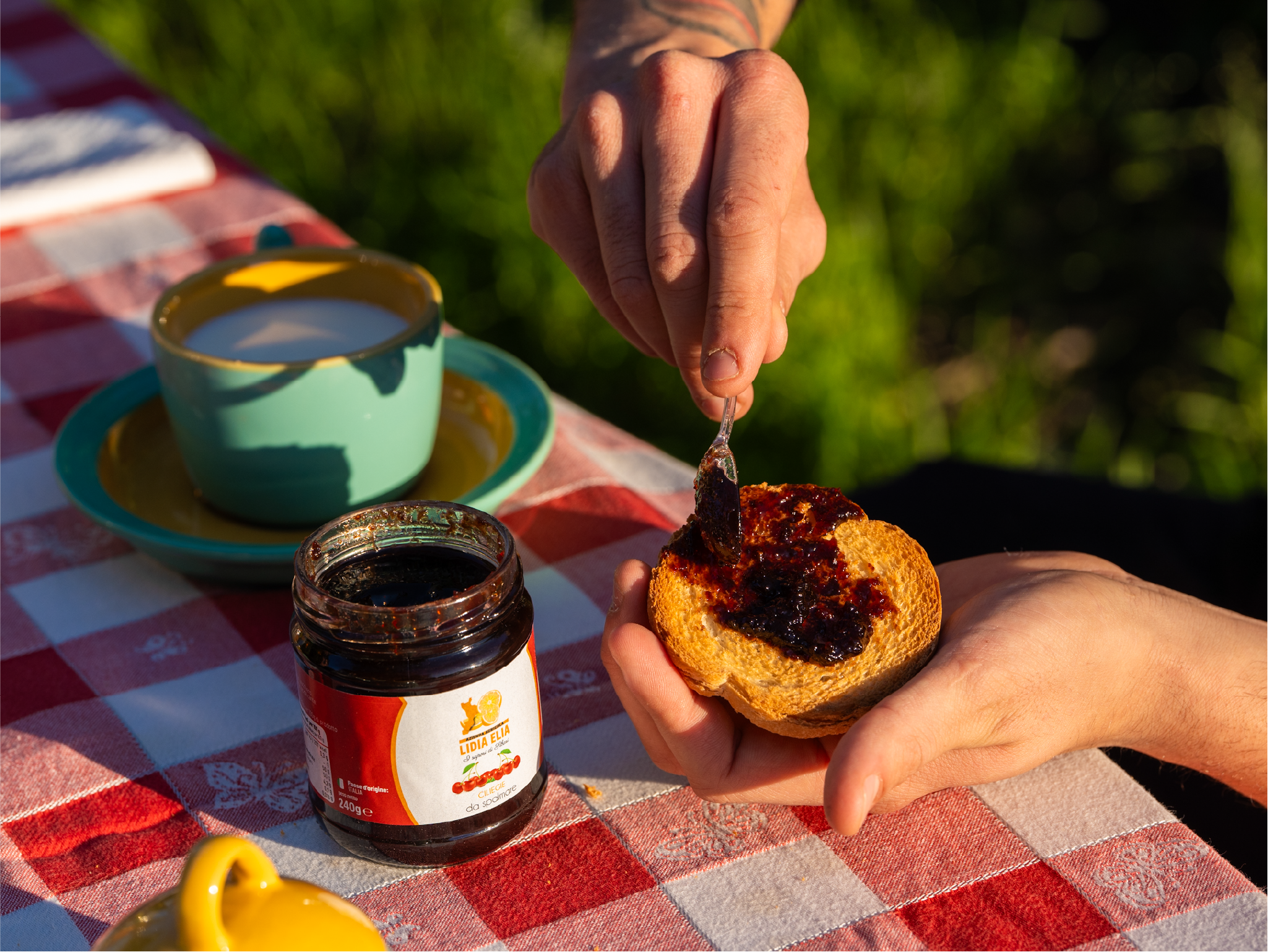 Ciliegie da spalmare