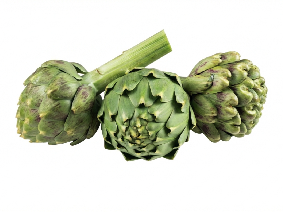 Carciofi Freschi
