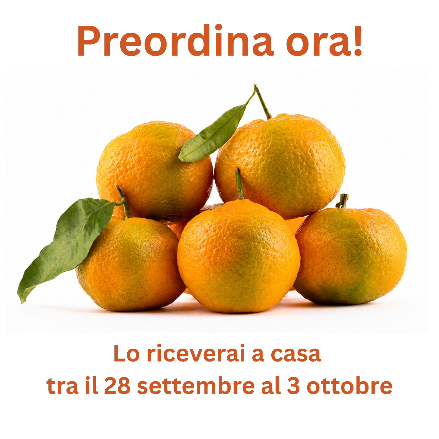 Clementine Prenules