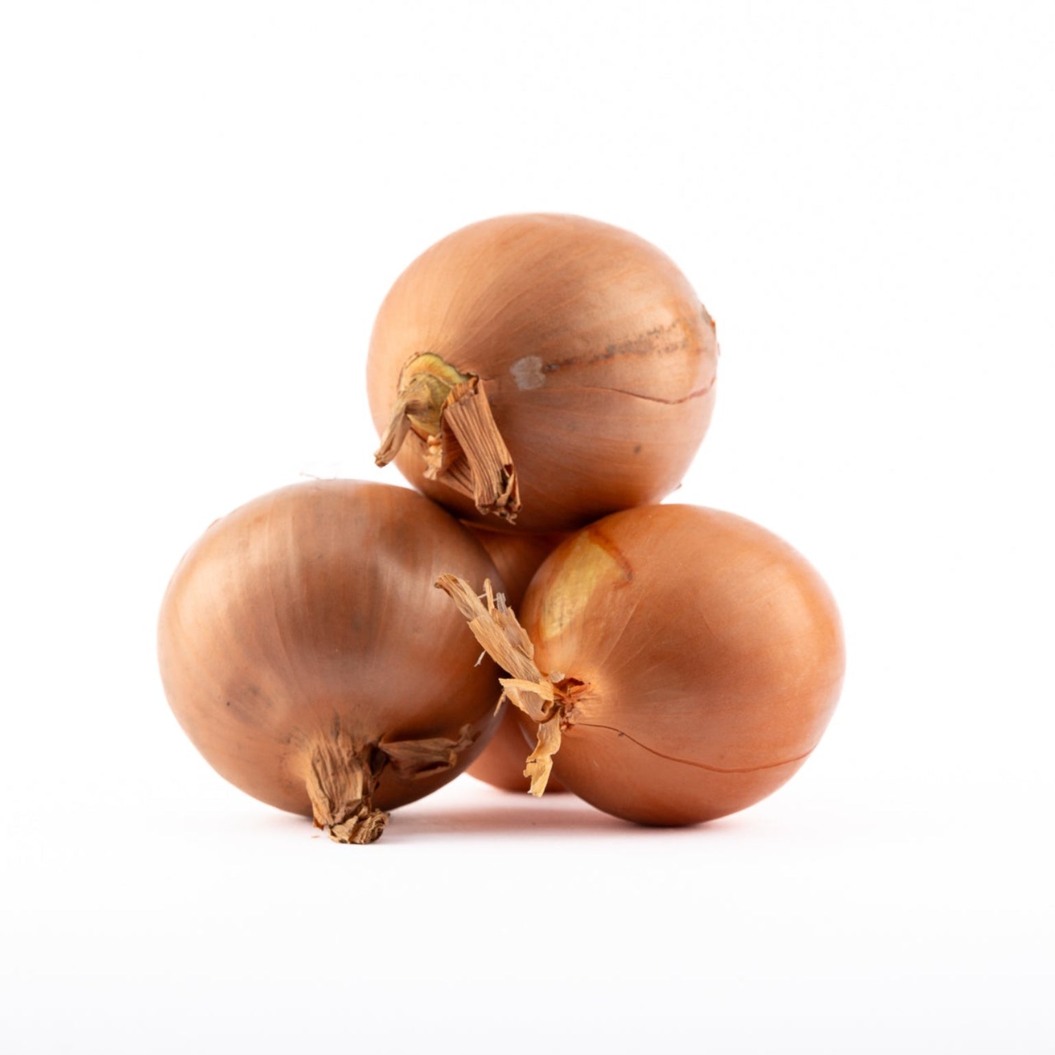 Cipolla Dorata