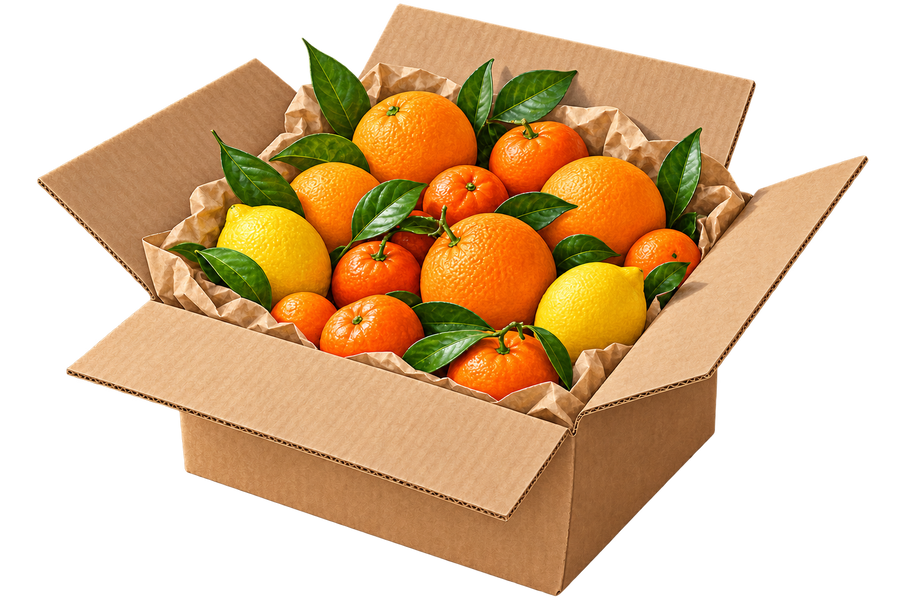 Box aperta con agrumi freschi assortiti