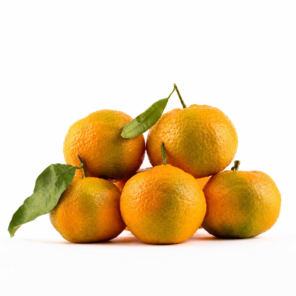 Clementine Prenules