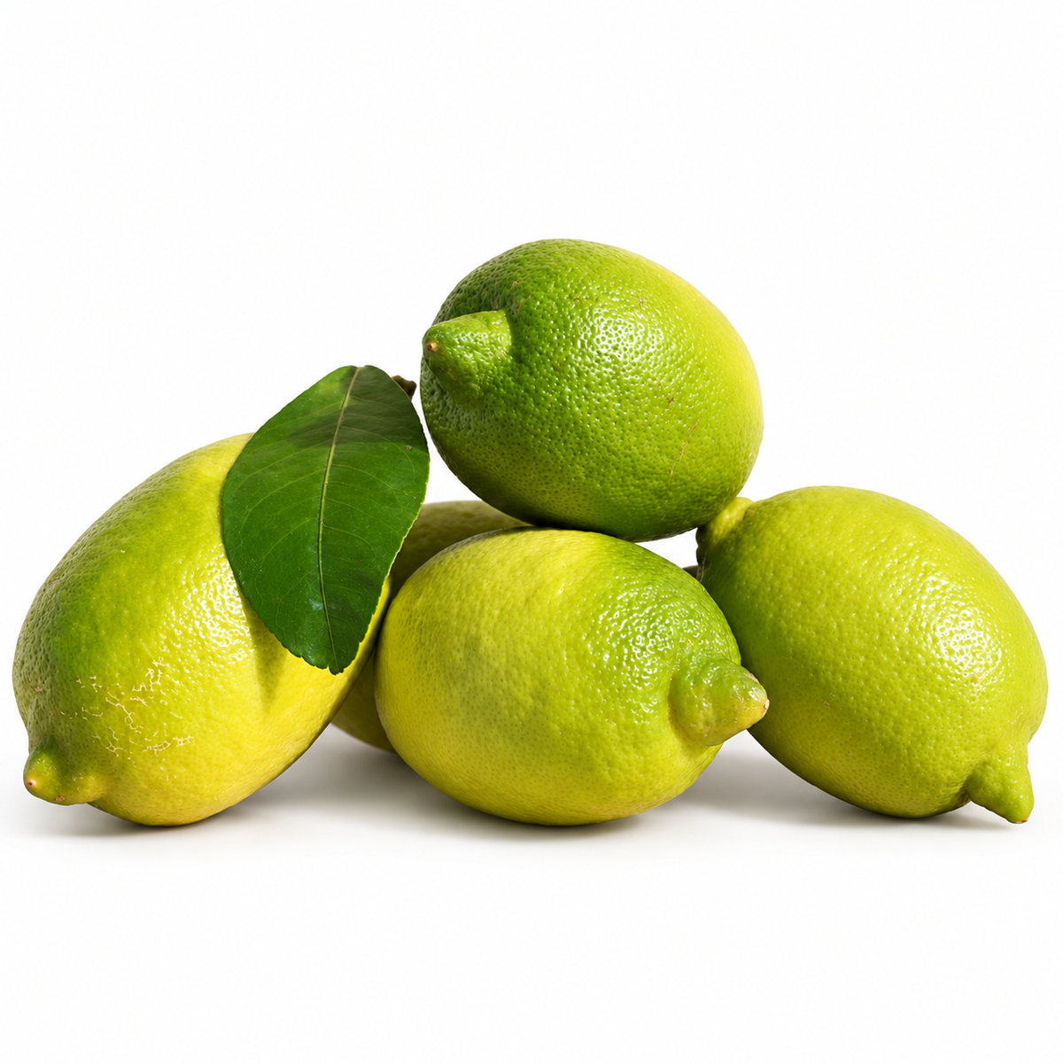 Limone Interdonato di Calabria coltivato nella Piana di Sibari